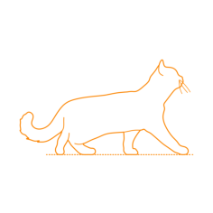 Animals Cats British Shorthair Sticker Outline Svg File, Free Vectors File
